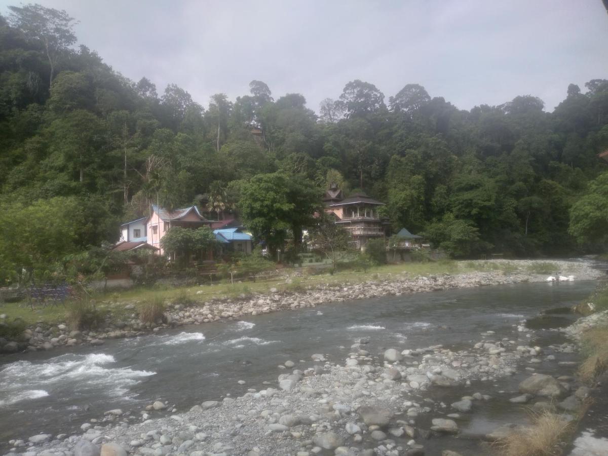 Umiyuki Jungle Tour Only Treking With As Hotell Bukit Lawang Exteriör bild