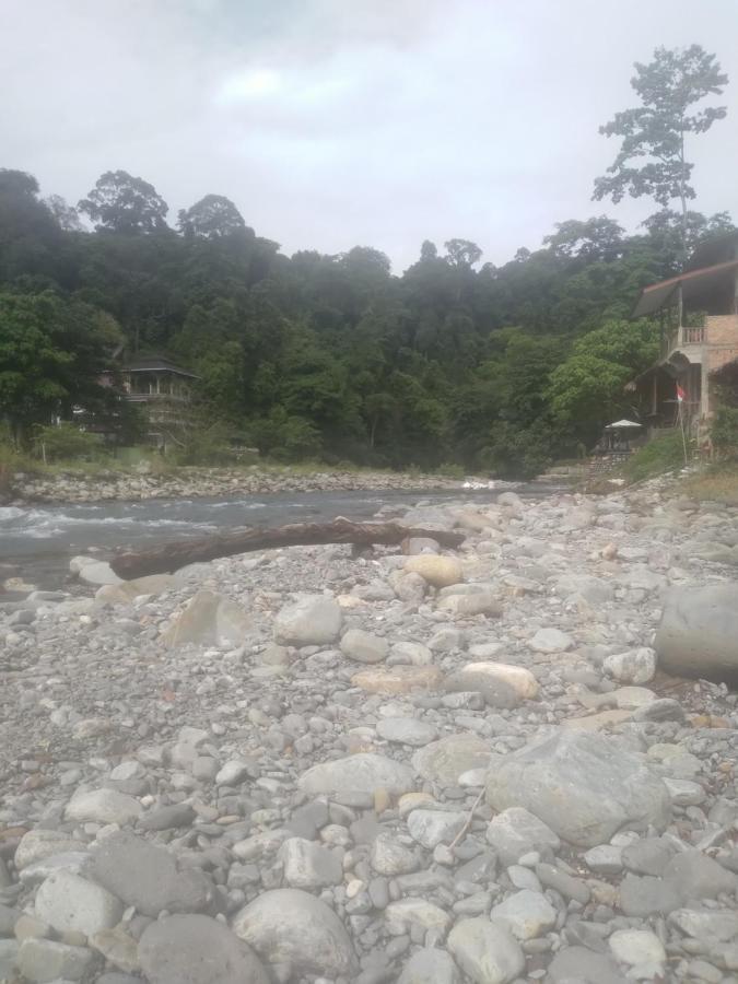 Umiyuki Jungle Tour Only Treking With As Hotell Bukit Lawang Exteriör bild