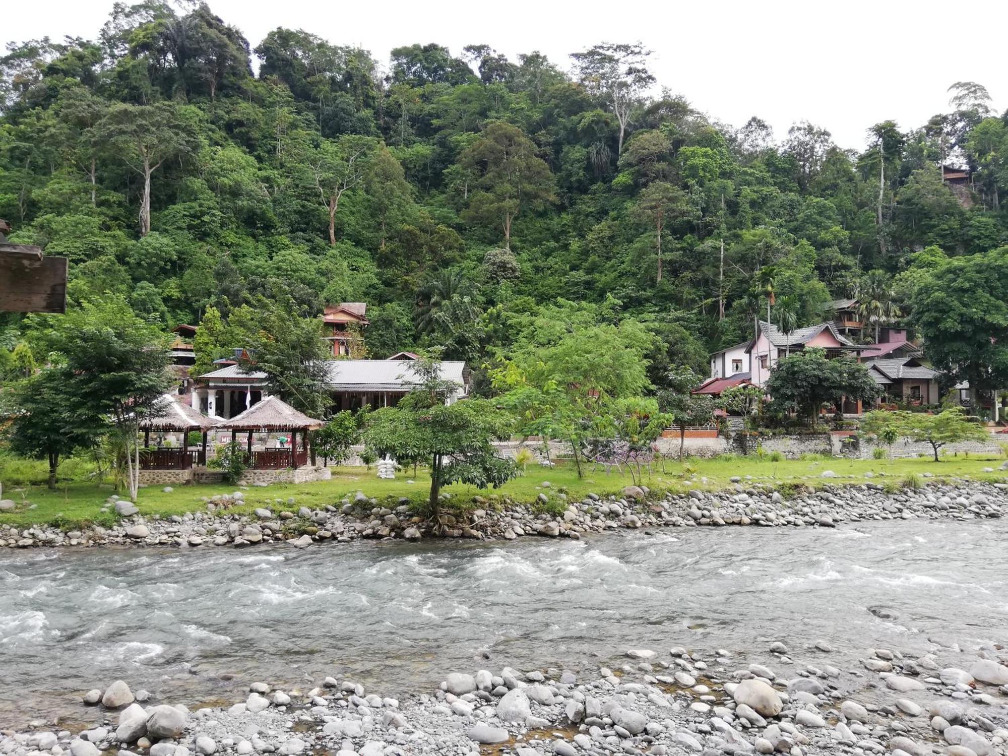 Umiyuki Jungle Tour Only Treking With As Hotell Bukit Lawang Exteriör bild